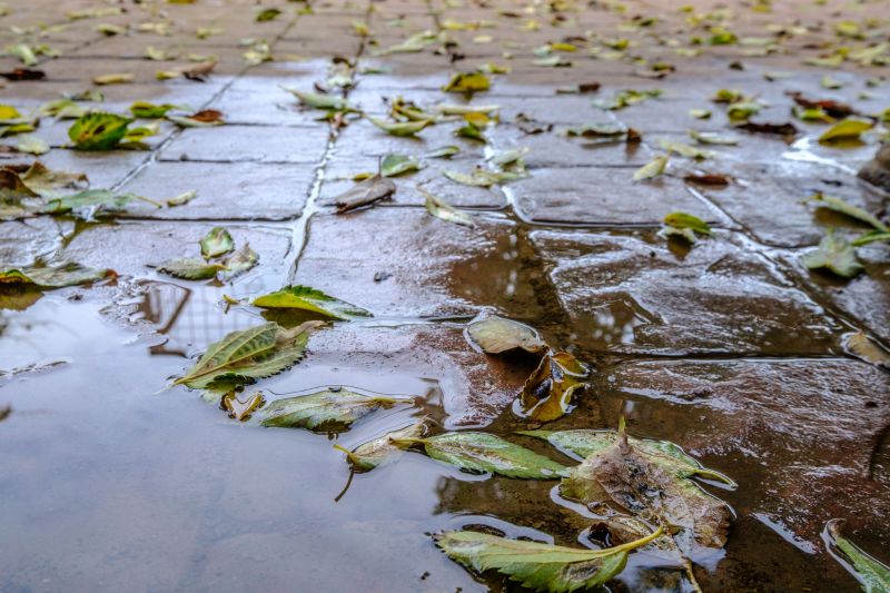 Decorative Concrete Repair in Roswell, GA