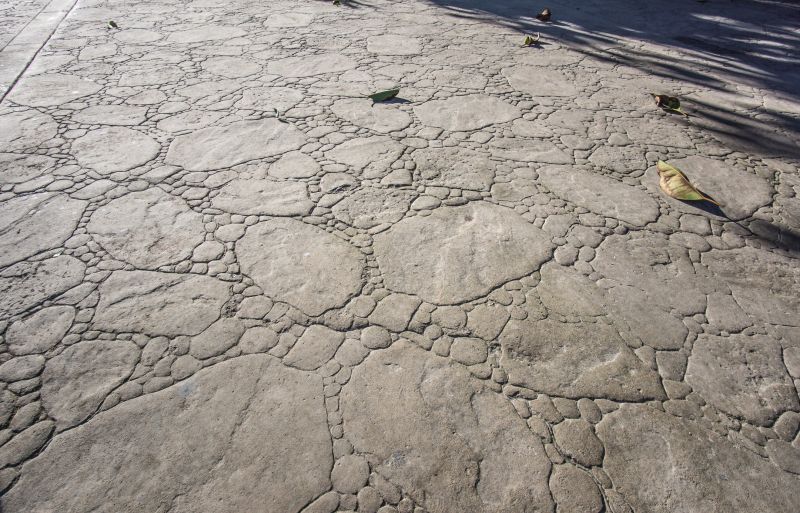 Decorative Concrete Repair in Layton, UT