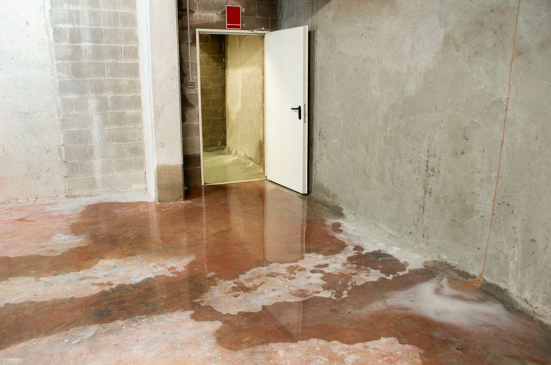 Drying Basement Floor
